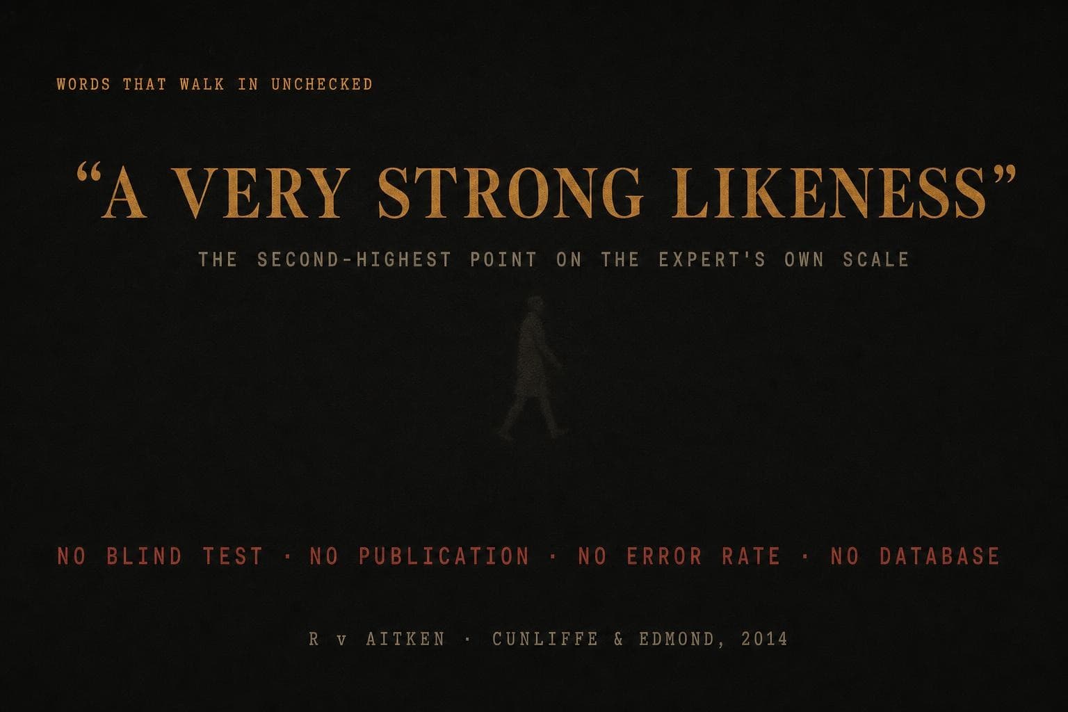 A data plate: an expert's courtroom phrase, 'a very strong likeness', set against what stood behind it — no blind test, no publication, no error rate, no database.